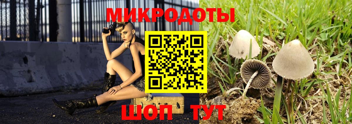 Галлюциногенные грибы ЛСД Ишимбай