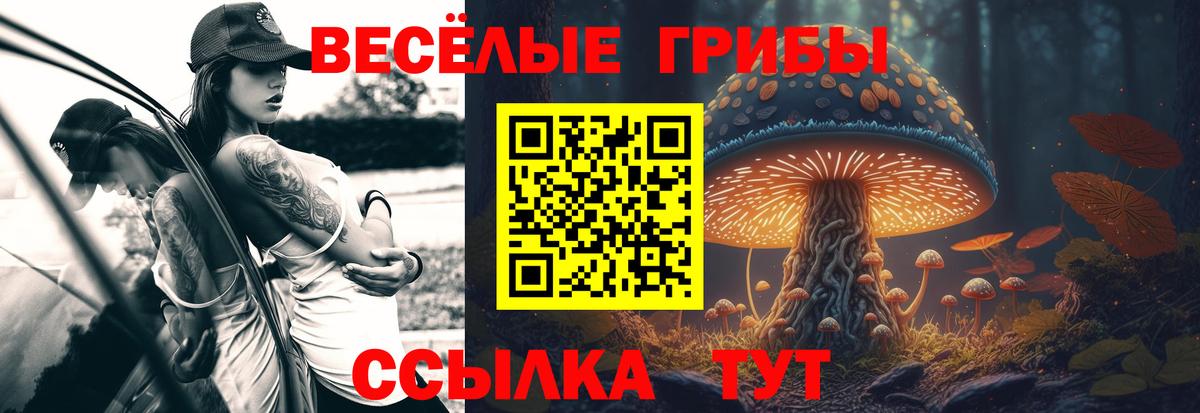 Ишимбай  Псилоцибиновые грибы Psilocybe  Вход с VPN 
